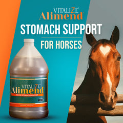 Vitalize Alimend bottle back label with ingredients and usage notes