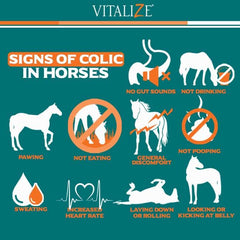 Vitalize Alimend bottle being poured into horse feed