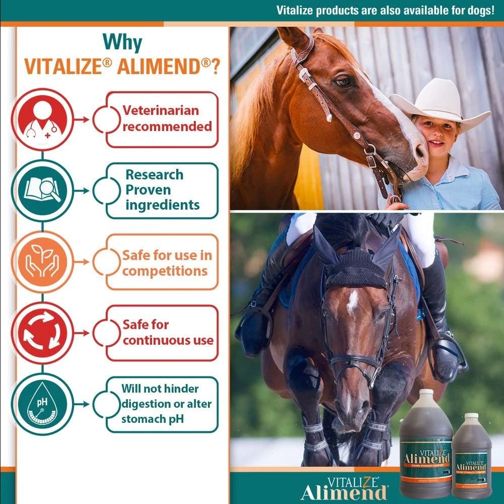 Vitalize Alimend used during training or travel with a horse