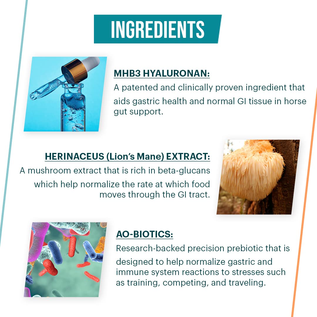 Vitalize Alimend Lexington facility emphasizing quality manufacturing