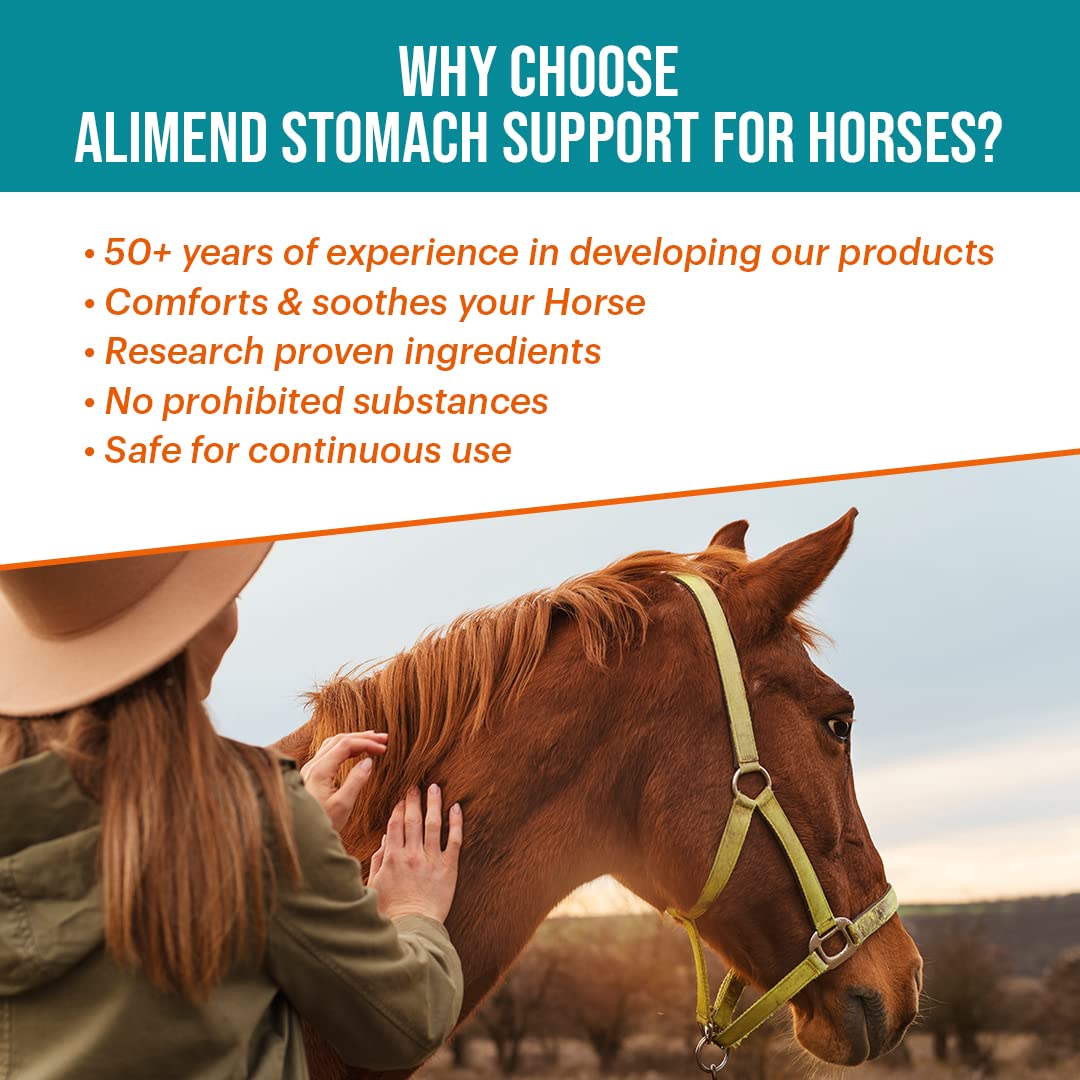 Vitalize Alimend in a stable scene for daily horse care