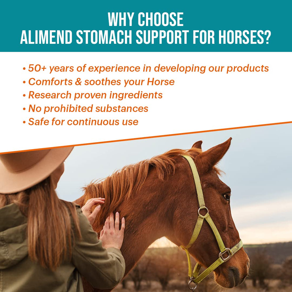 Vitalize Alimend in a stable scene for daily horse care