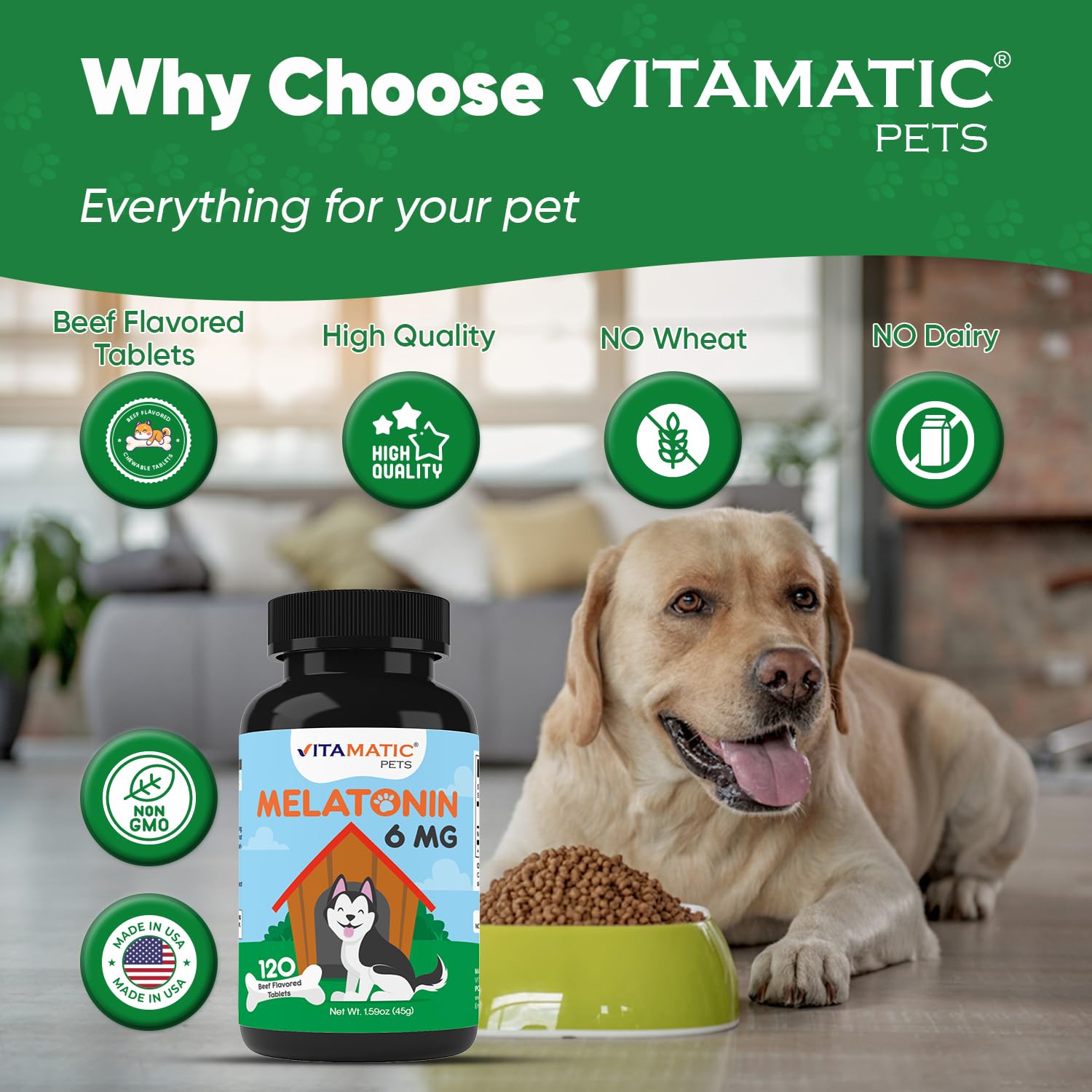 Dog relaxing scene with Vitamatic Melatonin during fireworks to illustrate calming potential.