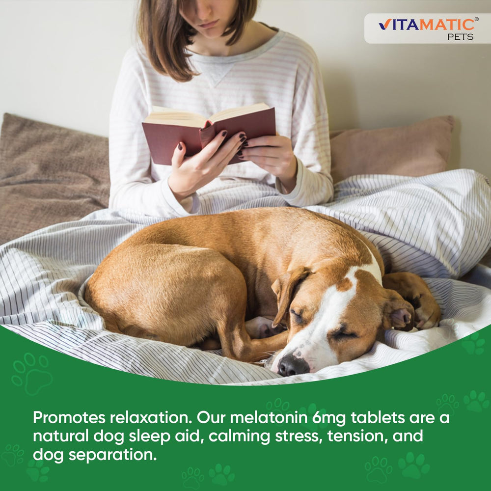 Travel-friendly Vitamatic Melatonin bottle shown for trips with pets.