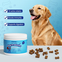 VITATICA Premium Probiotics for Dogs chews close-up highlight pumpkin flavor and gut support