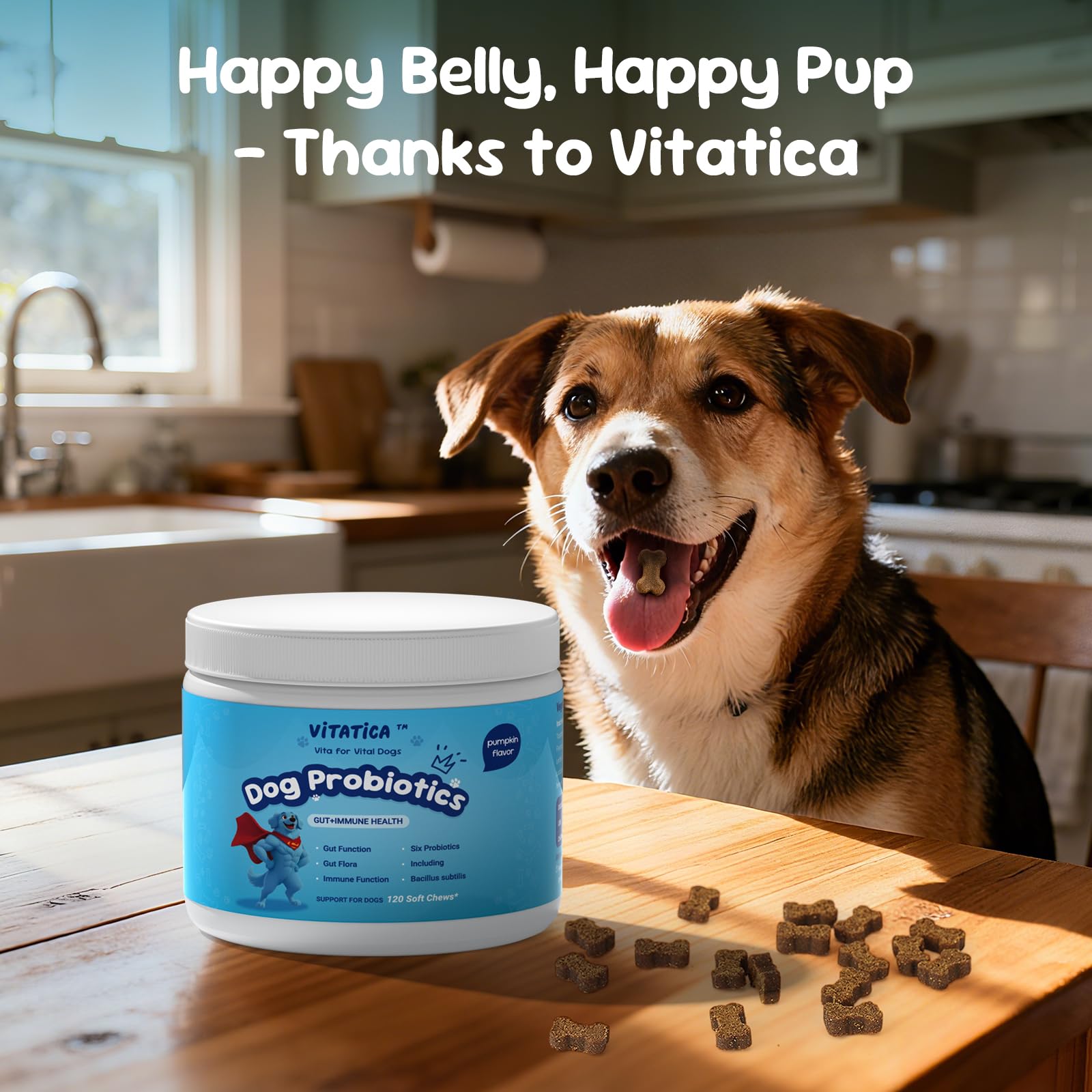 VITATICA Premium Probiotics for Dogs coat-shine chews promote skin and coat health