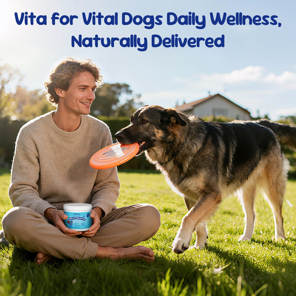 VITATICA Premium Probiotics for Dogs meal-time image suggests daily routine supporting digestion and immunity