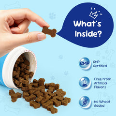 VITATICA Premium Probiotics for Dogs pumpkin-flavored chews in bowl support digestion