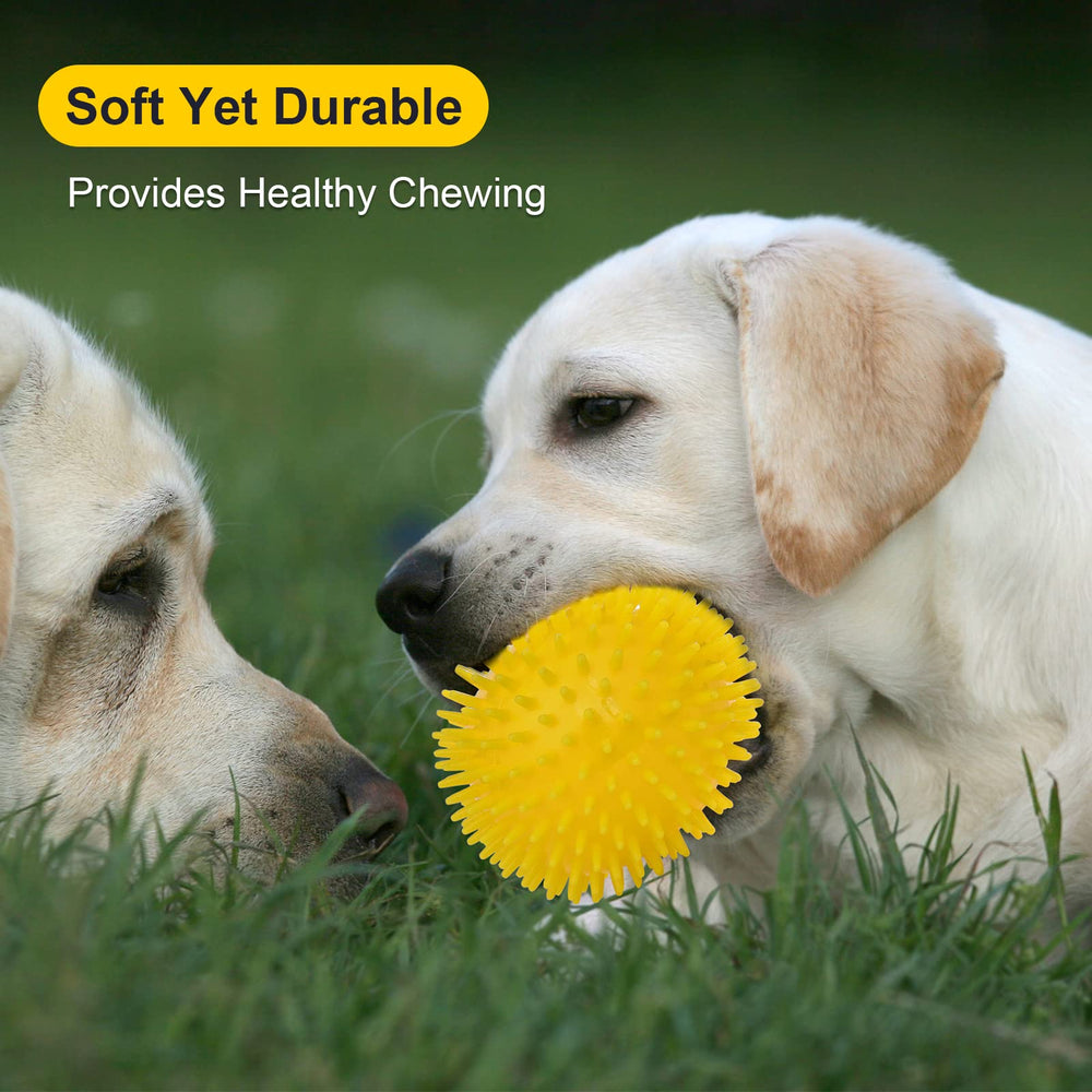 VITEVER BPA-free odorless rubber for non-toxic safe chewing experiences.