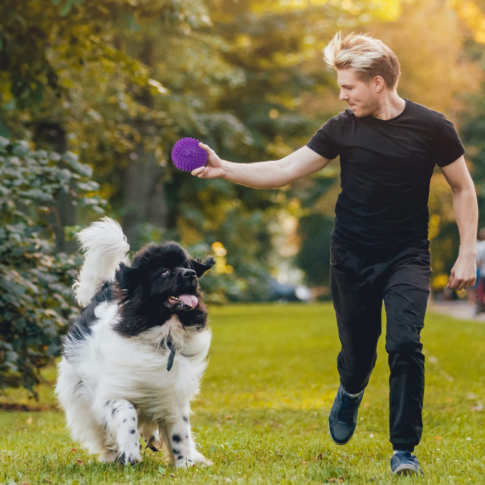 VITEVER three-pack multi-purpose toy for indoor and outdoor play sessions.
