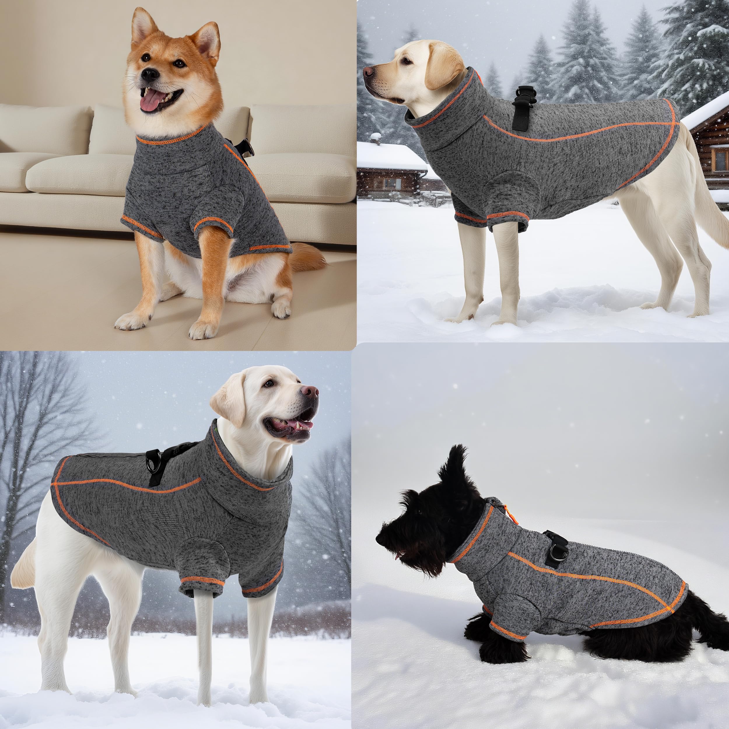 Vitiswap leash hole on back supports safe walking.
