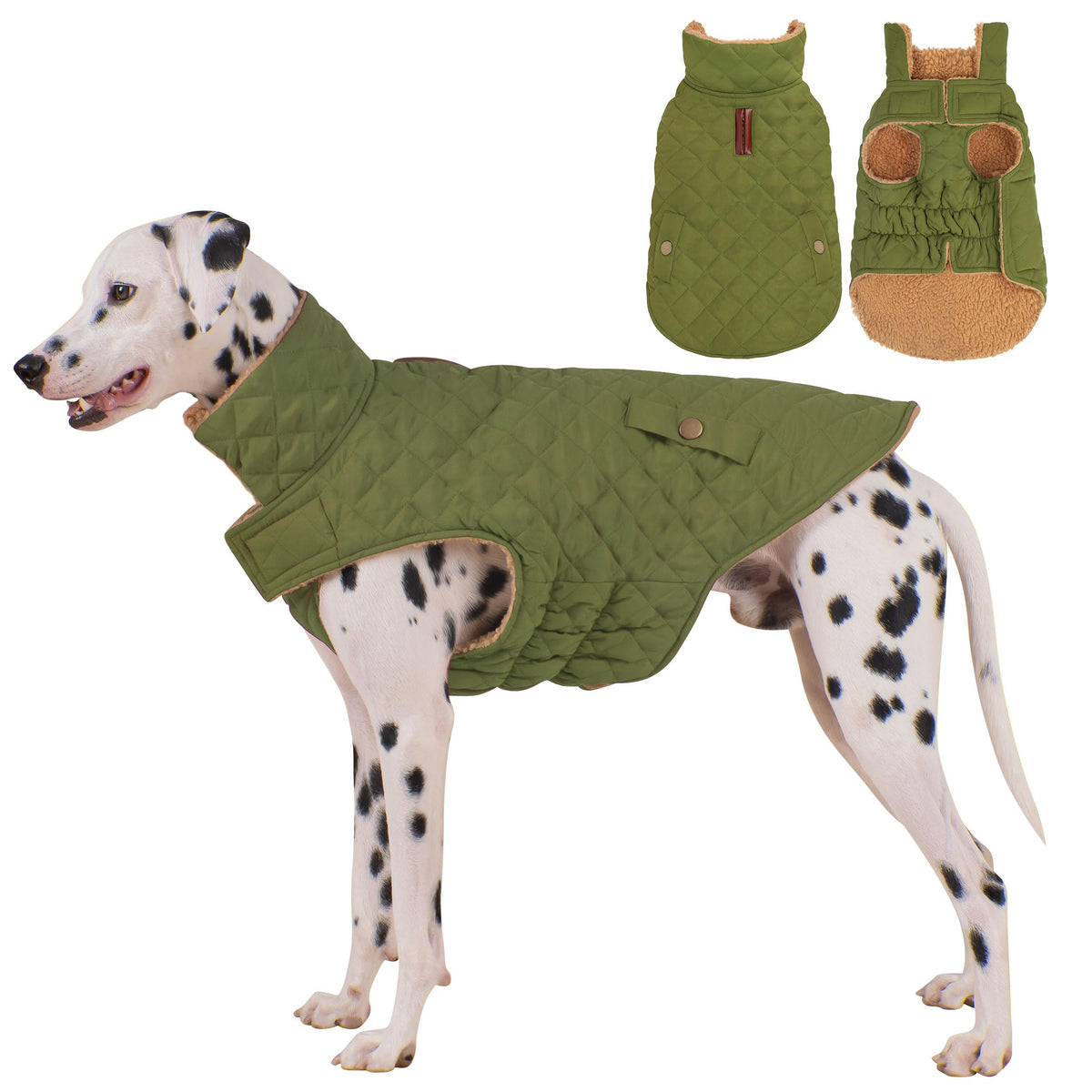 Vitiswap Dog Winter Coat back view in green XXXL showing warm waterproof outerwear