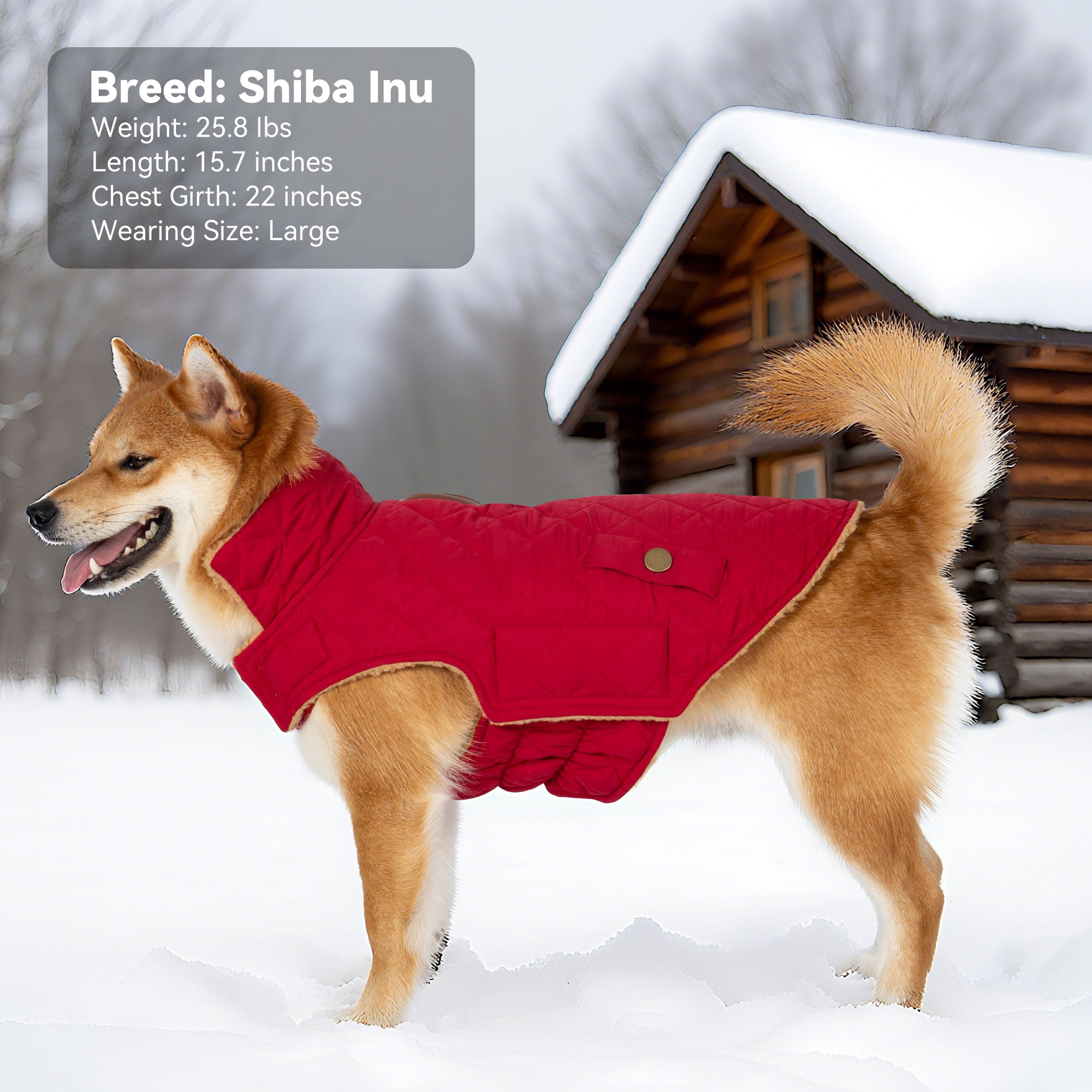 Vitiswap dog coat machine washable for easy cleanup after adventures.