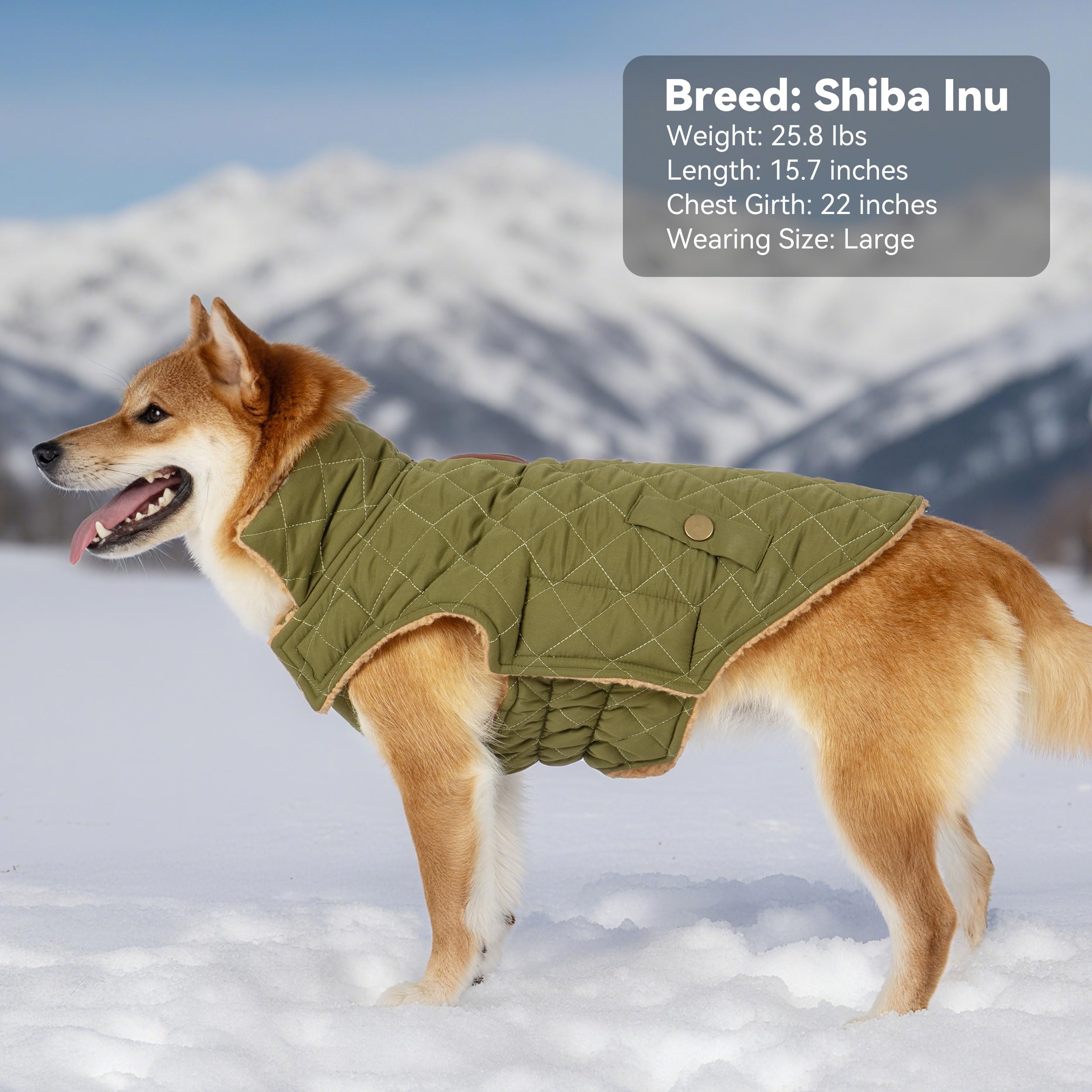Vitiswap dog winter coat machine washable for easy cleaning after adventures.