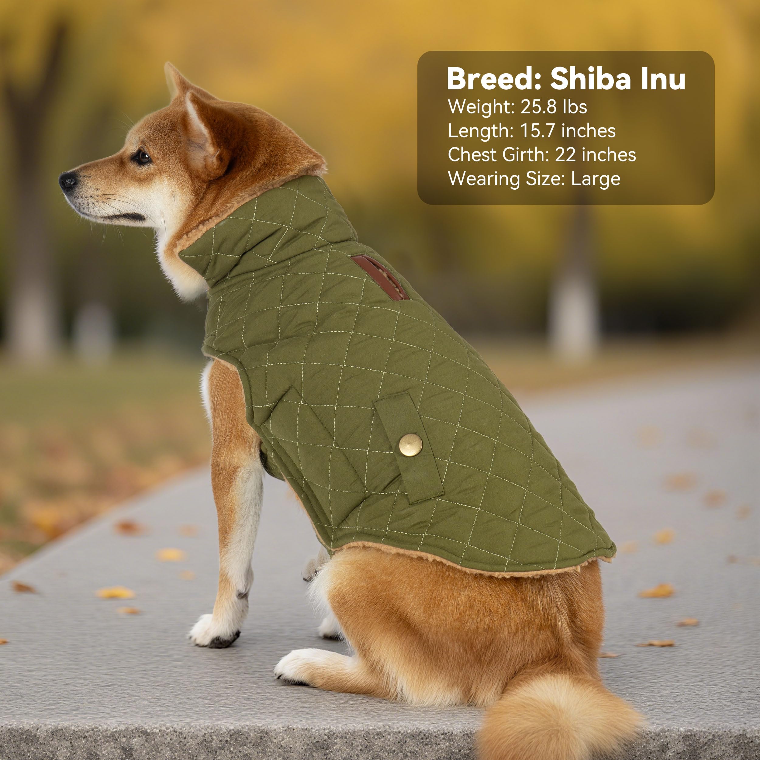 Vitiswap dog winter coat available in S to XXXL sizes for many breeds.