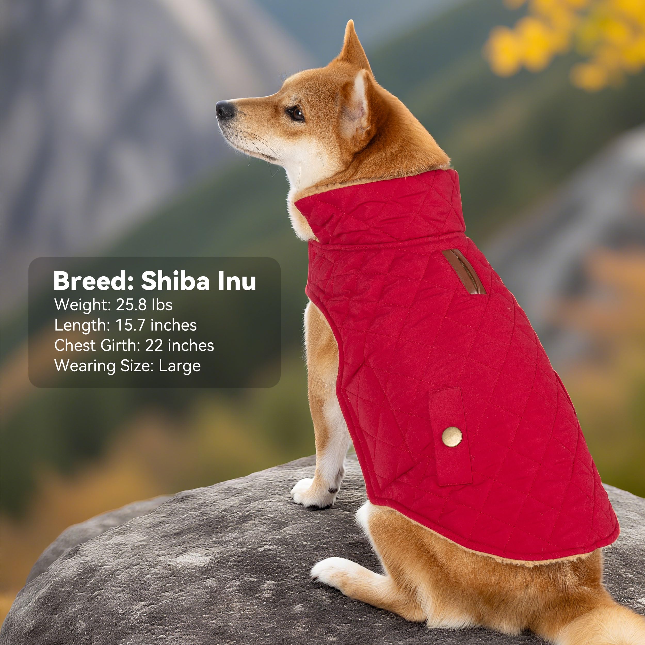 Vitiswap dog winter coat size chart guides finding the right fit.