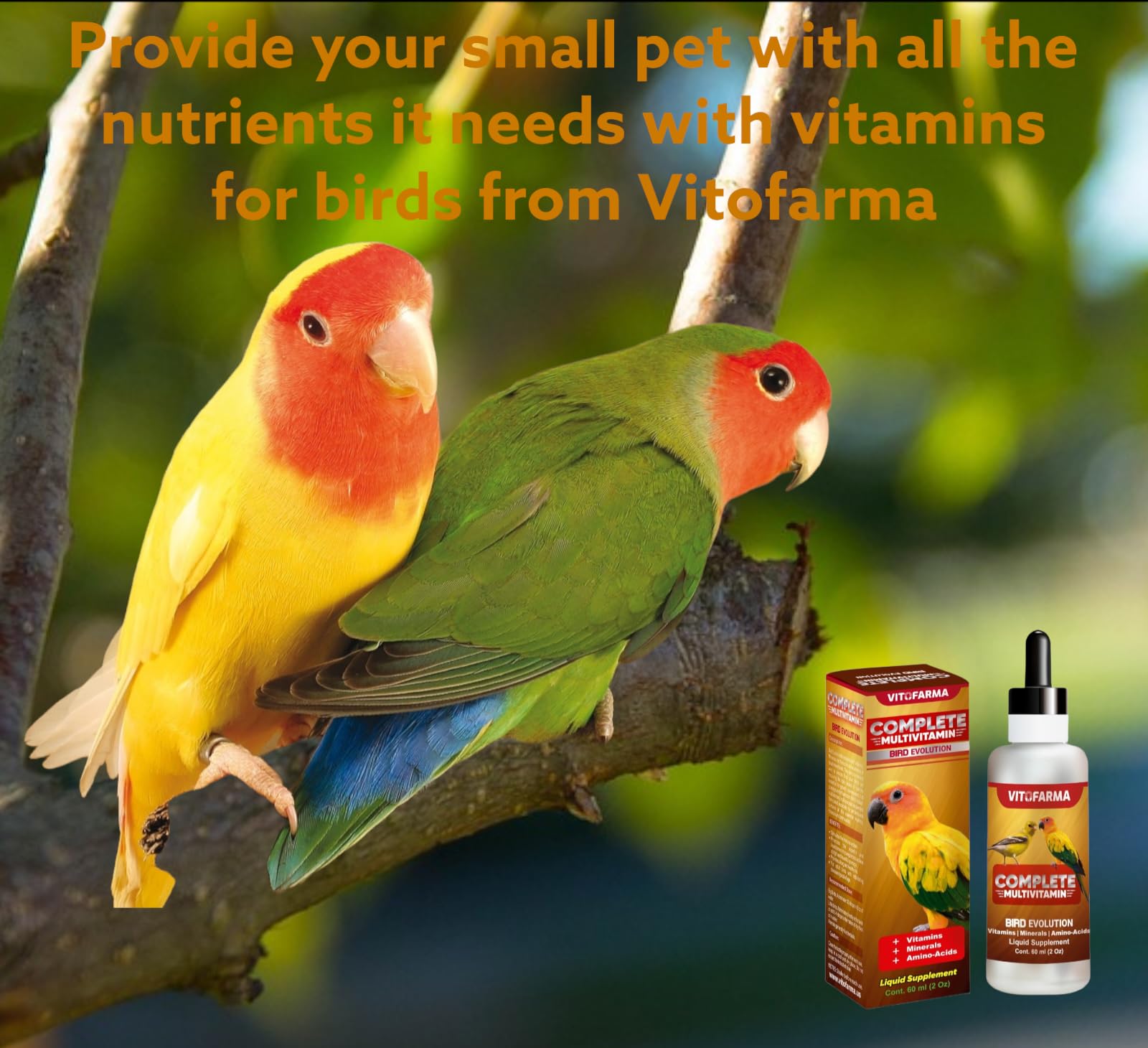 VITOFARMA Bird Evolution immune-support shows daily immune support for small birds.