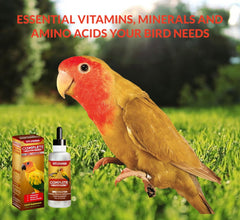 VITOFARMA Bird Evolution plumage-shine highlights full, glossy plumage in adult birds.