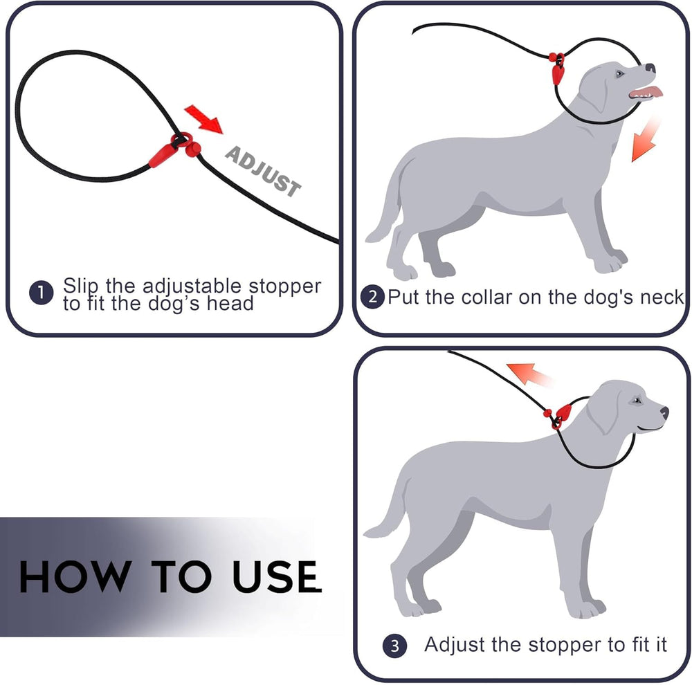Viunimo dog-walking setup using slip lead for training and behavior.