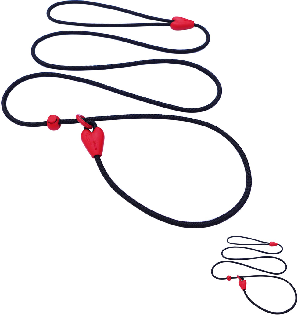 Viunimo two-pack slip leads in 6ft length ready for daily dog walks.