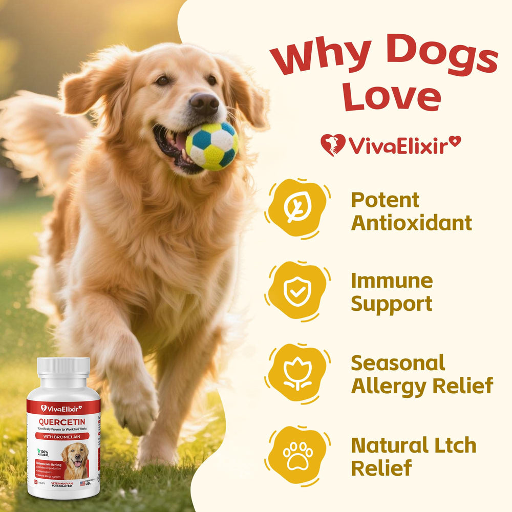 VivaElixir quercetin-bromelain tablets close-up showing precise dosing for dogs.