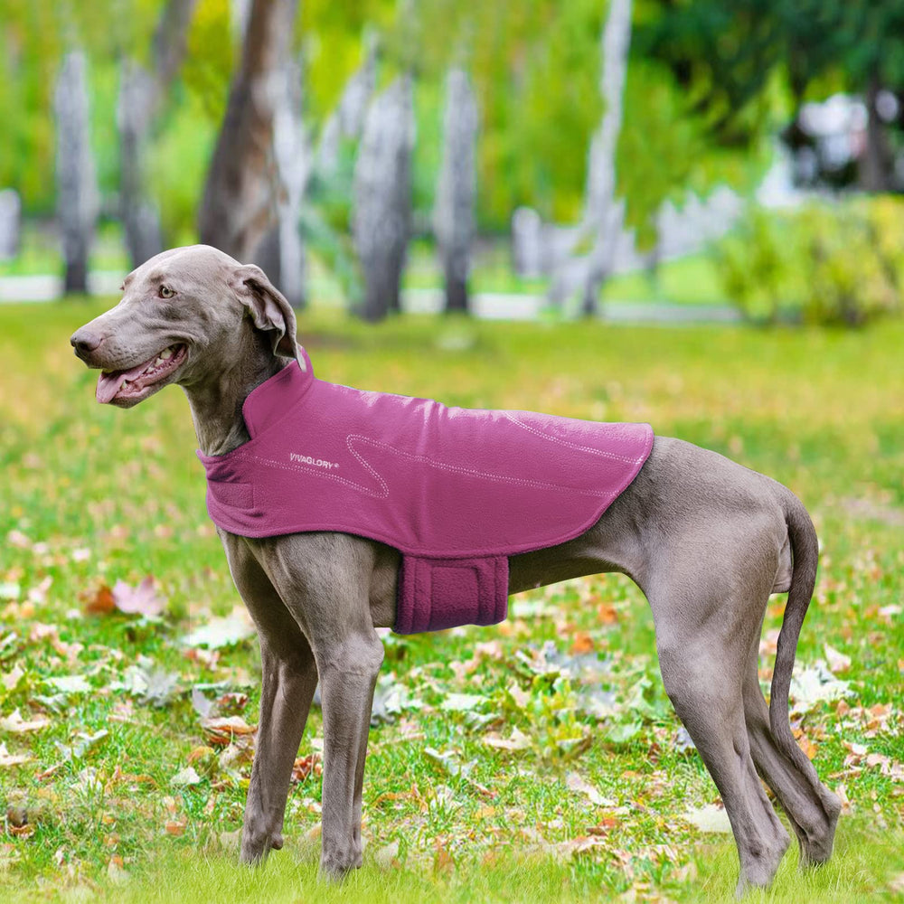 VIVAGLORY coat features smooth zippers for easy leash control.