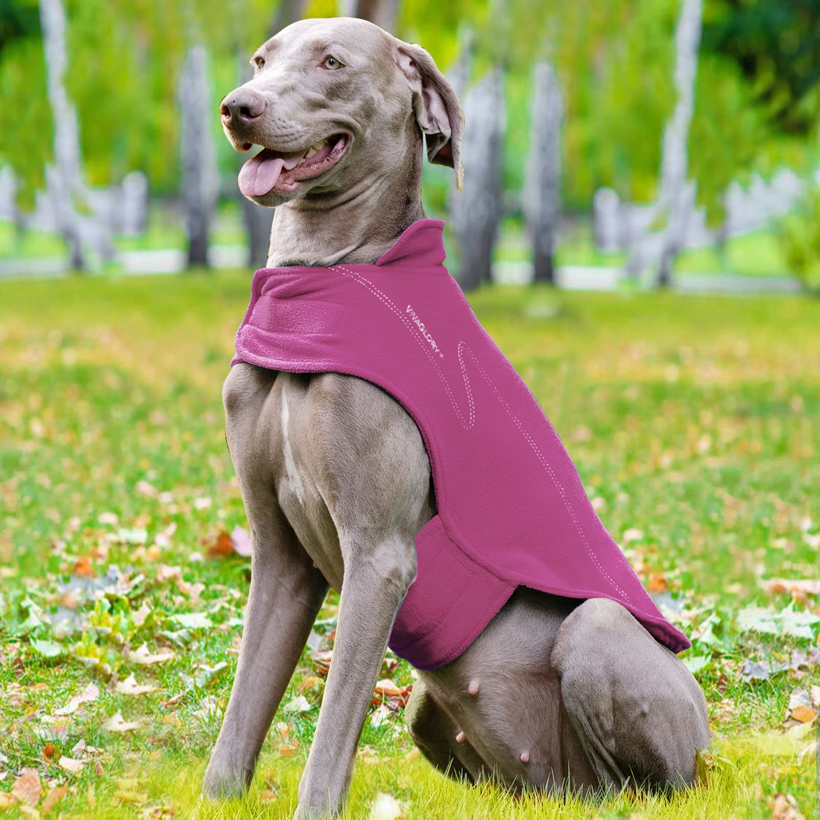 VIVAGLORY designed with snug fit and lightweight warmth for everyday wear.