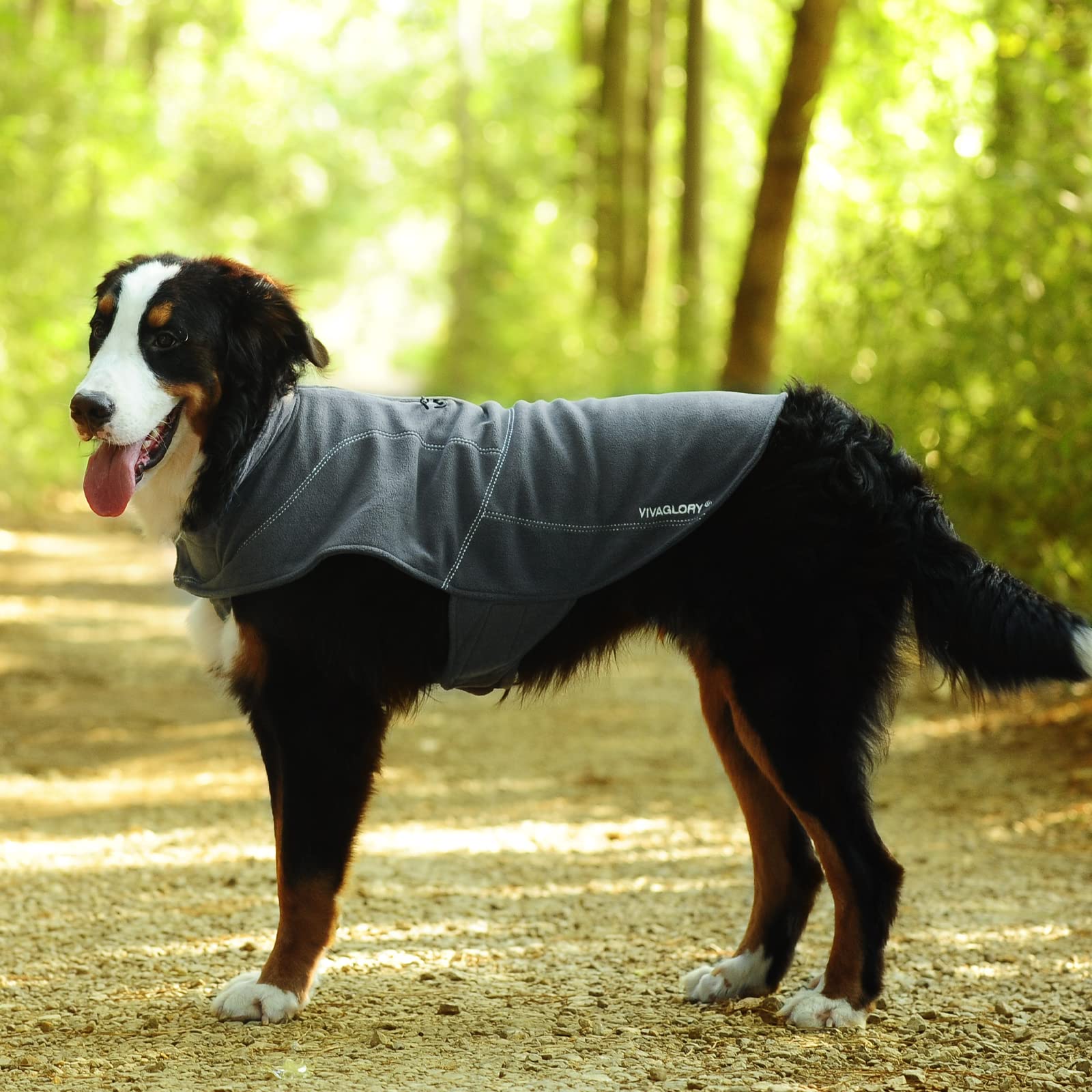 VIVAGLORY adjustable-fit view demonstrates customizable sizing for different dogs