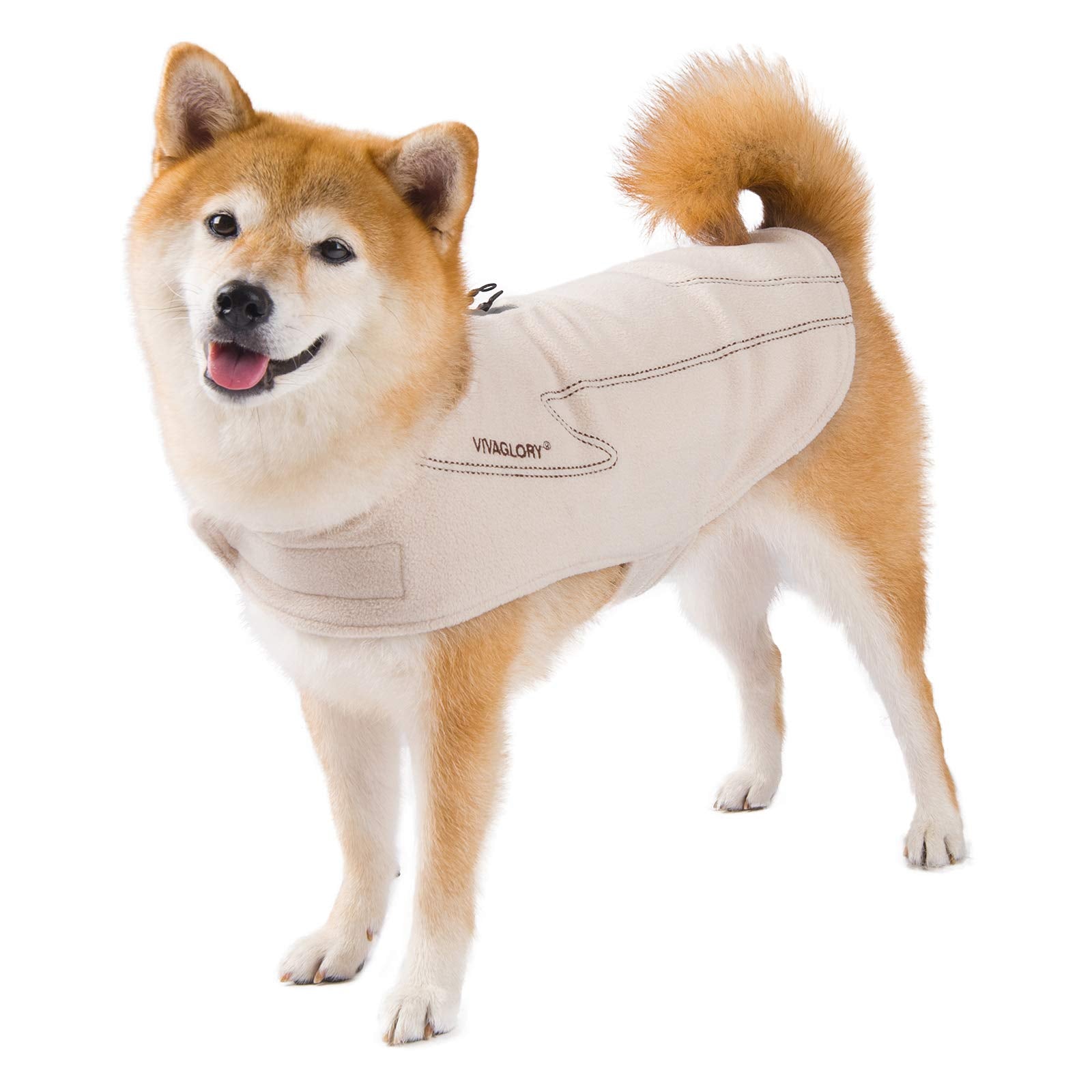 VIVAGLORY reflective trim enhances visibility during dusk walks