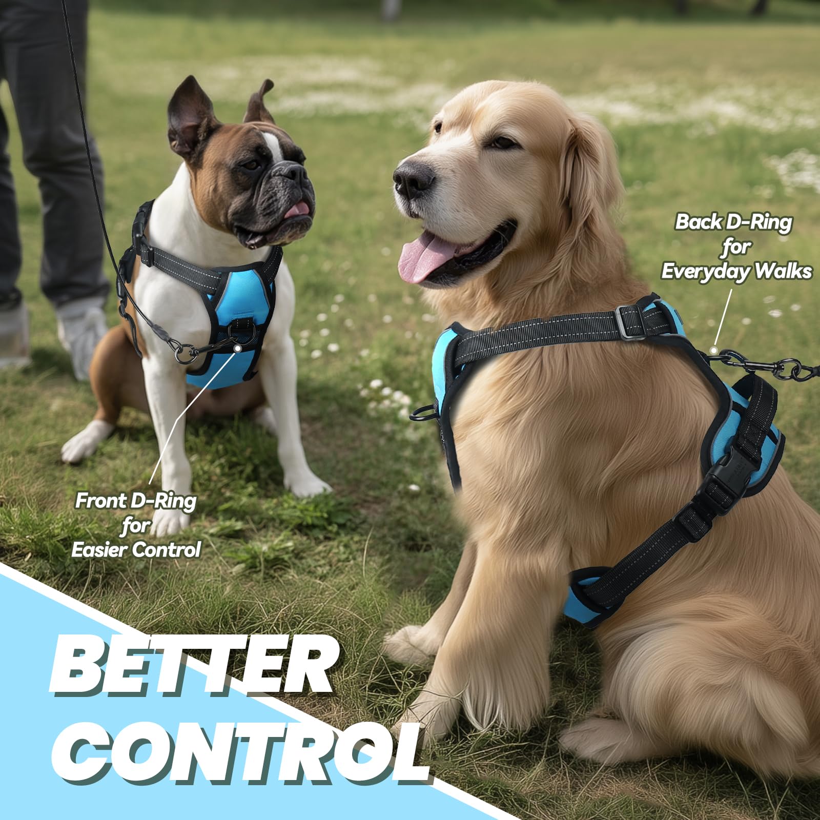 VIVAGLORY Easefit harness back D-ring for daily walking control.