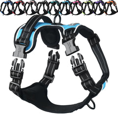 VIVAGLORY Easefit harness with front clip for anti-pull training and control.
