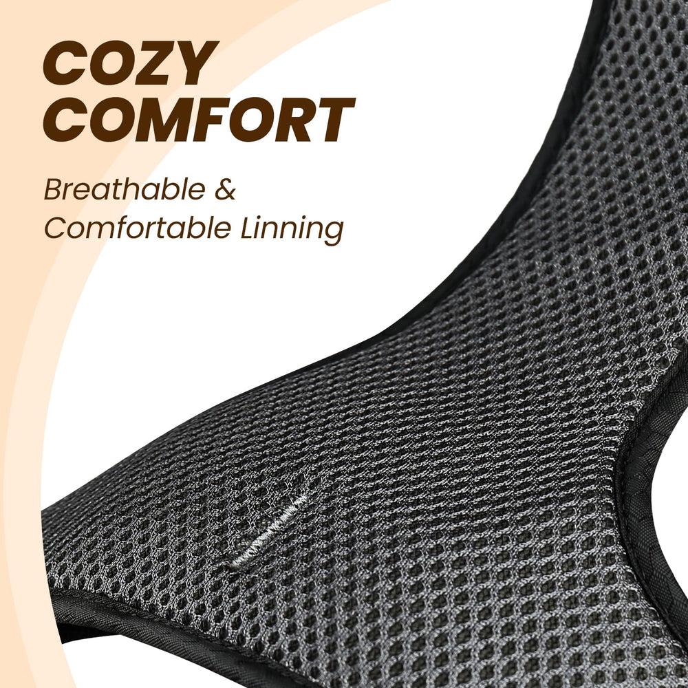 VIVAGLORY Easewalk chest panel design provides comfortable, secure restraint during energetic play.