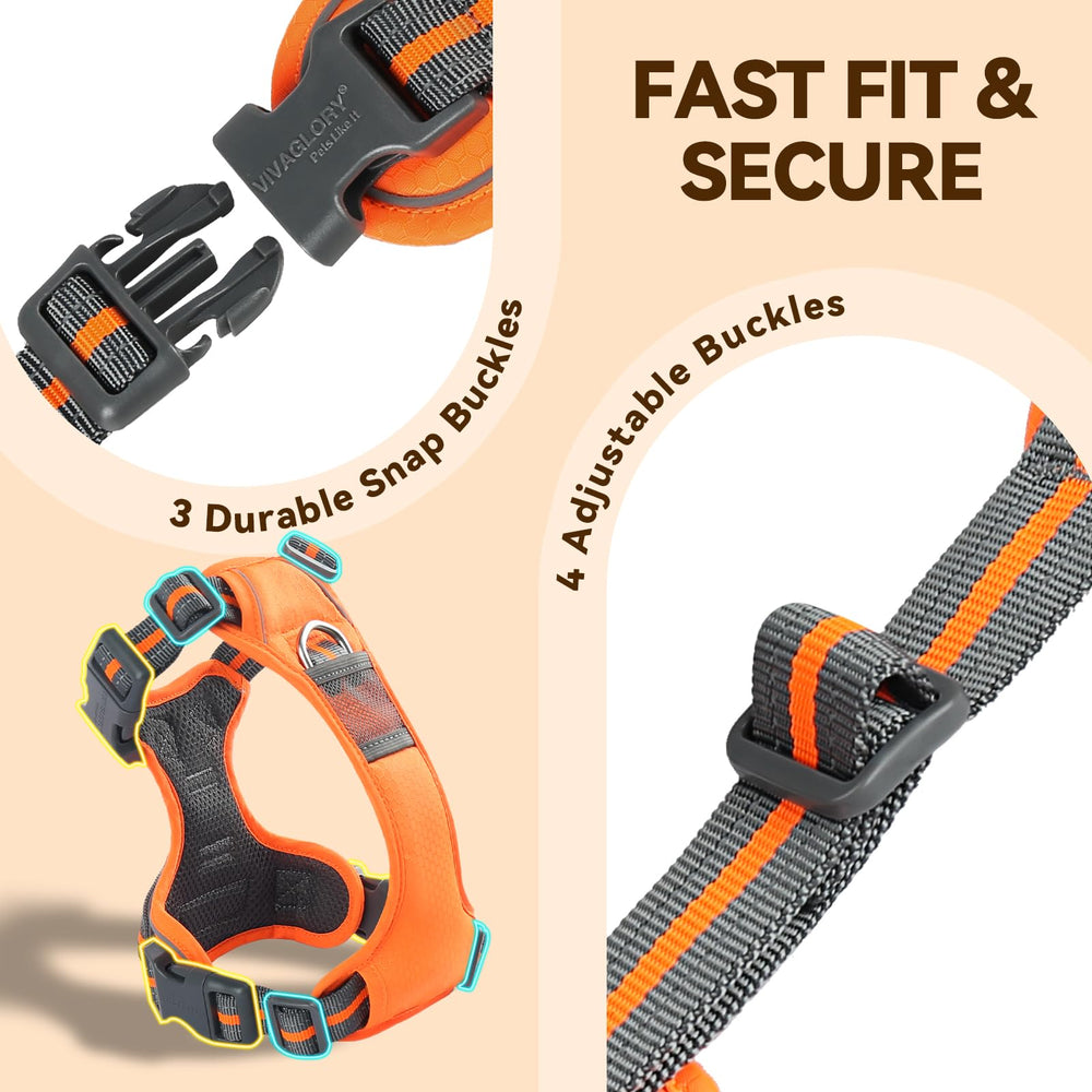 VIVAGLORY Easewalk padded handle aids quick lift and control during training.