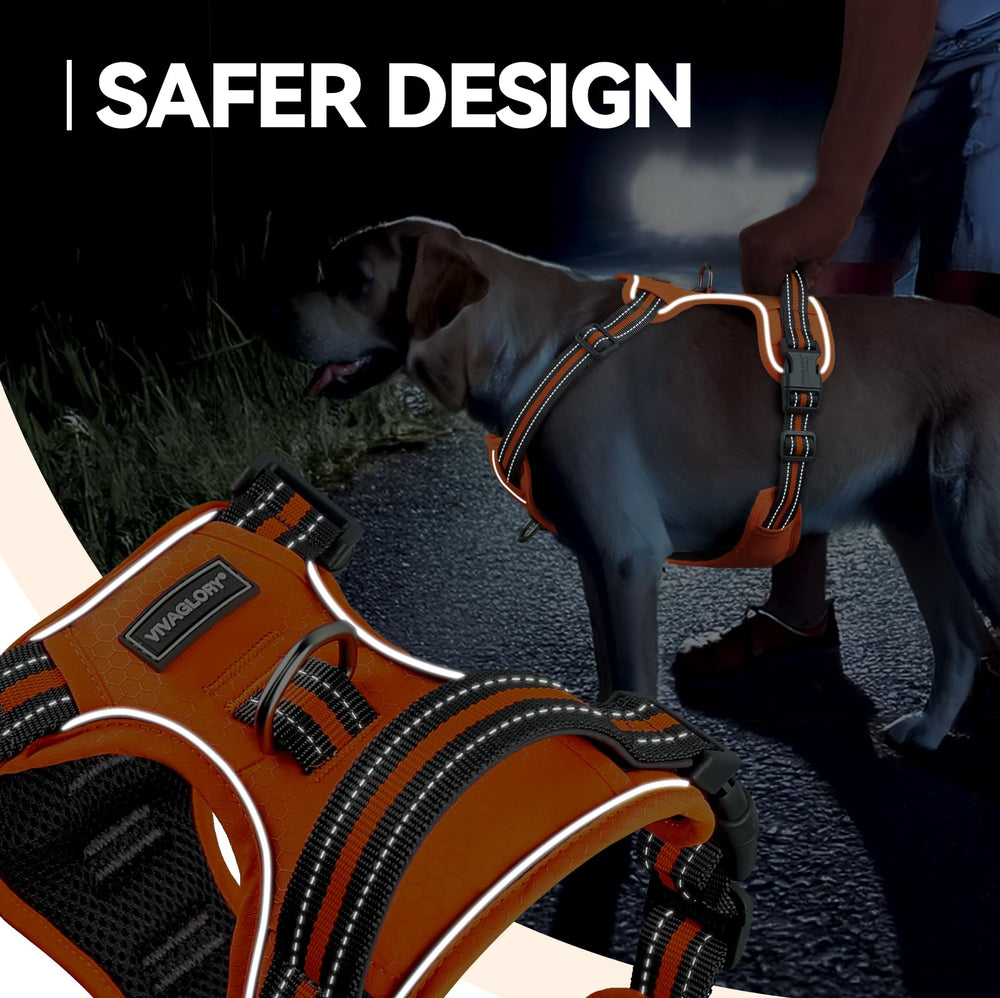 VIVAGLORY Easewalk reflective webbing boosts visibility for safer nighttime outings.