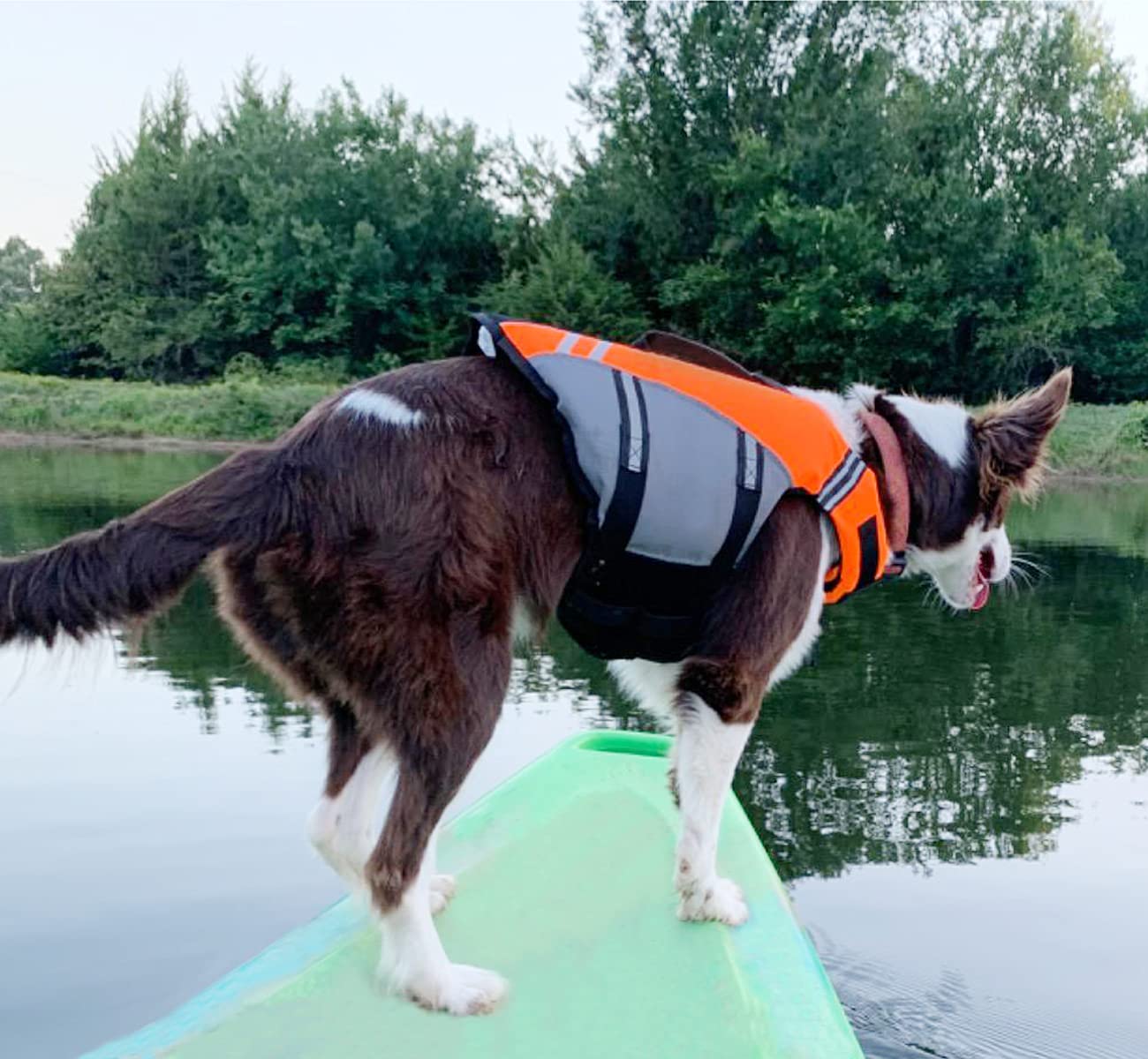 VIVAGLORY adjustable fit chart for easy sizing across breeds