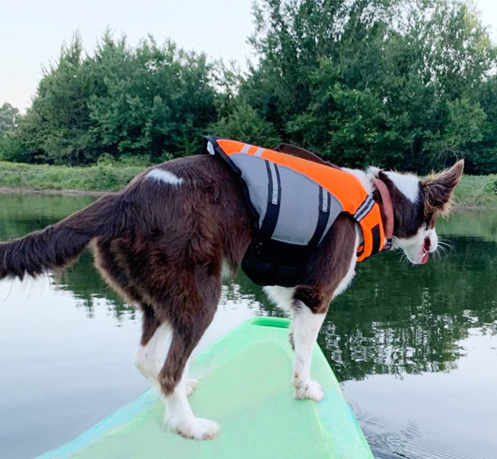 VIVAGLORY adjustable fit chart for easy sizing across breeds