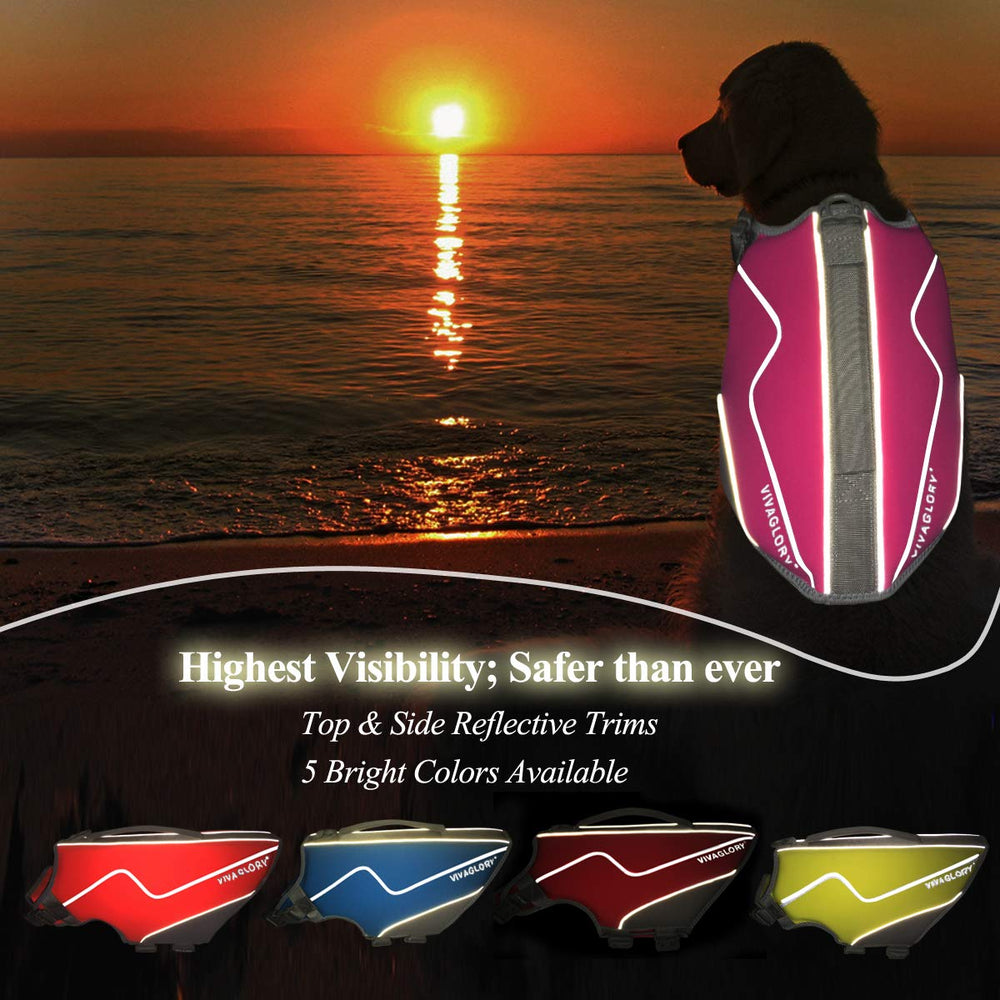 VIVAGLORY dog life vest foam buoyancy supports steady swimming and reduced fatigue.