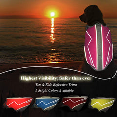 VIVAGLORY dog life vest foam buoyancy supports steady swimming and reduced fatigue.