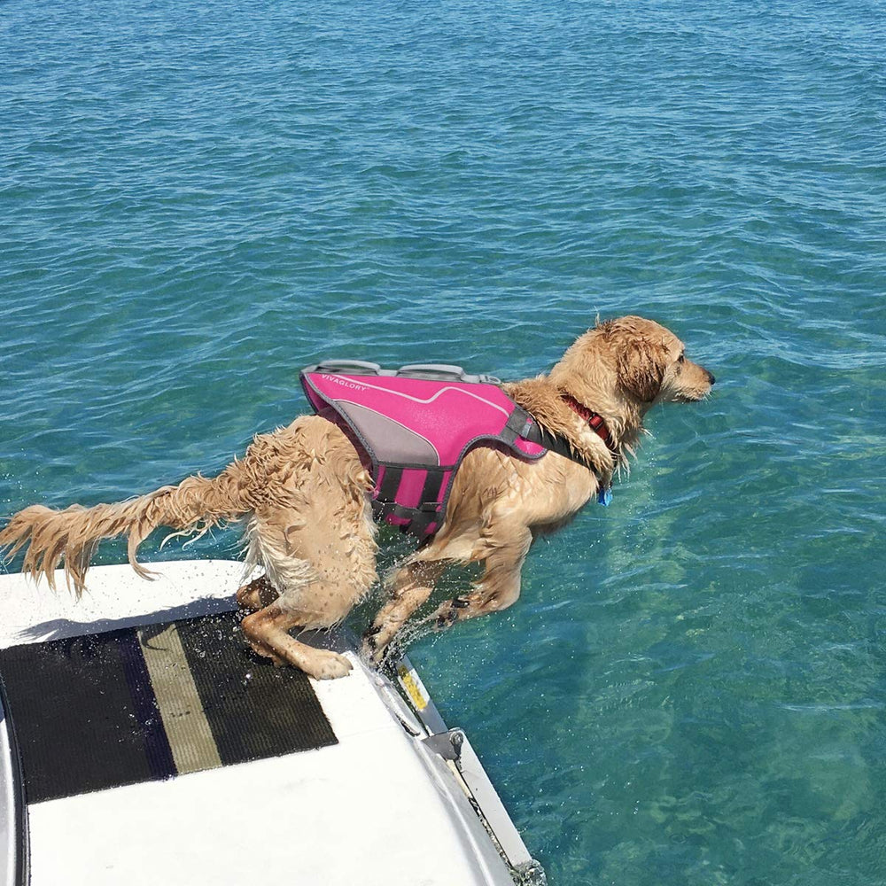 VIVAGLORY pink dog life vest cleaning and maintenance guidance