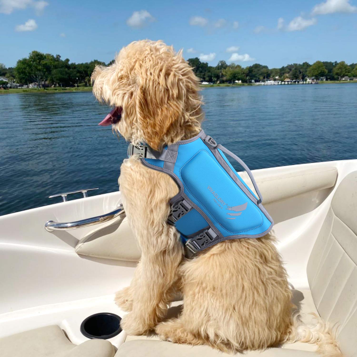 VIVAGLORY dog swimming in vest enjoying water activity