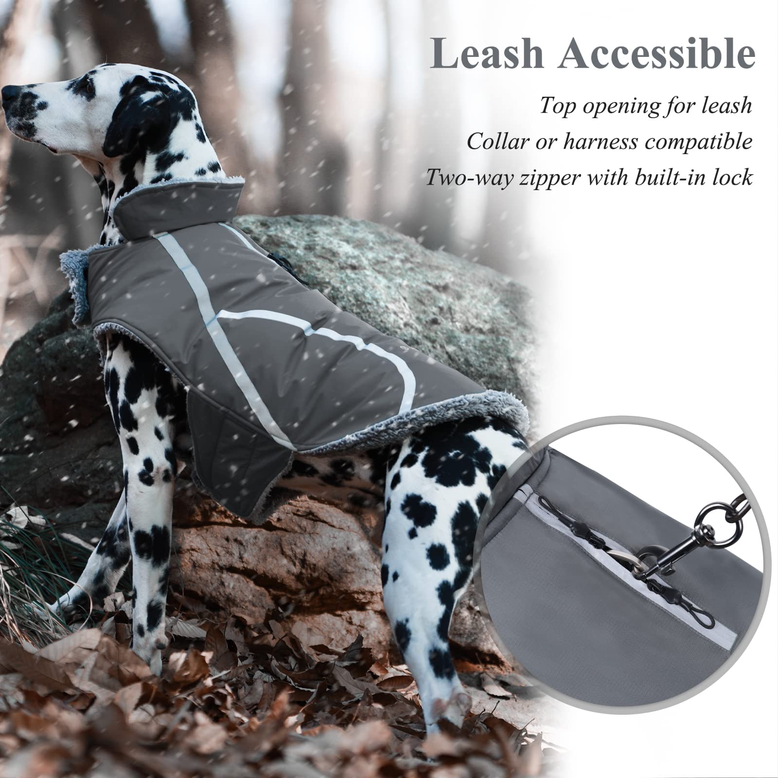 VIVAGLORY Frostfit dog coat back two-way zipper for easy harness access.