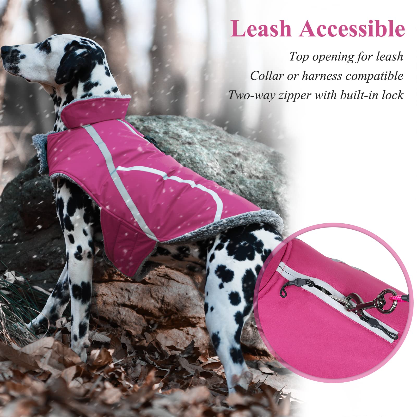 VIVAGLORY Frostfit back with two-way zipper enables harness access.