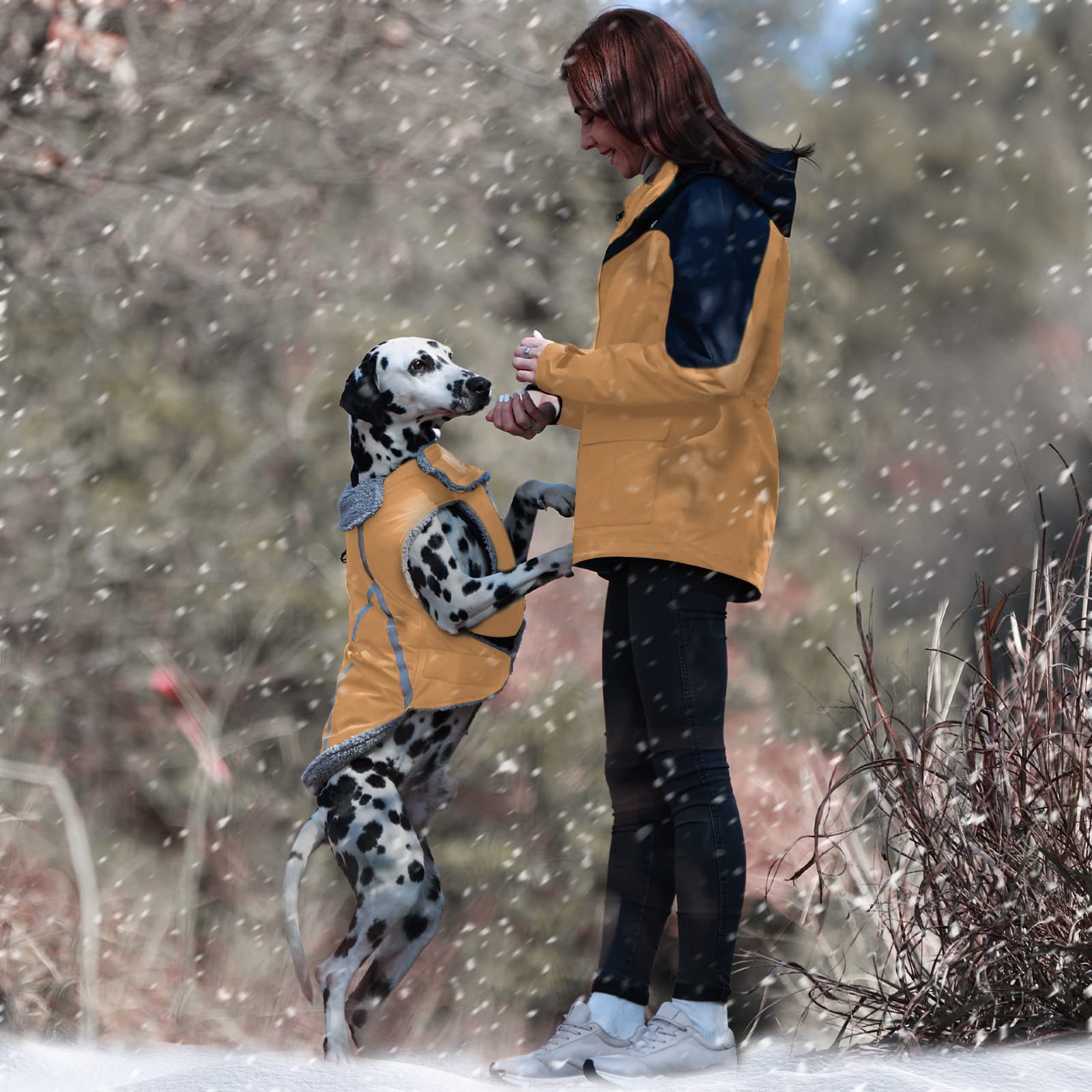 VIVAGLORY Frostfit belly-adjustable design ensures snug fit for many breeds