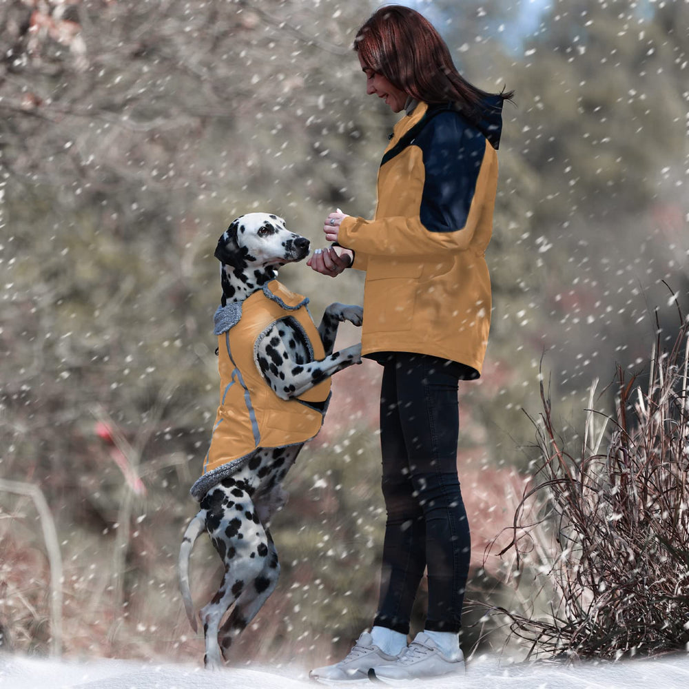 VIVAGLORY Frostfit belly-adjustable design ensures snug fit for many breeds