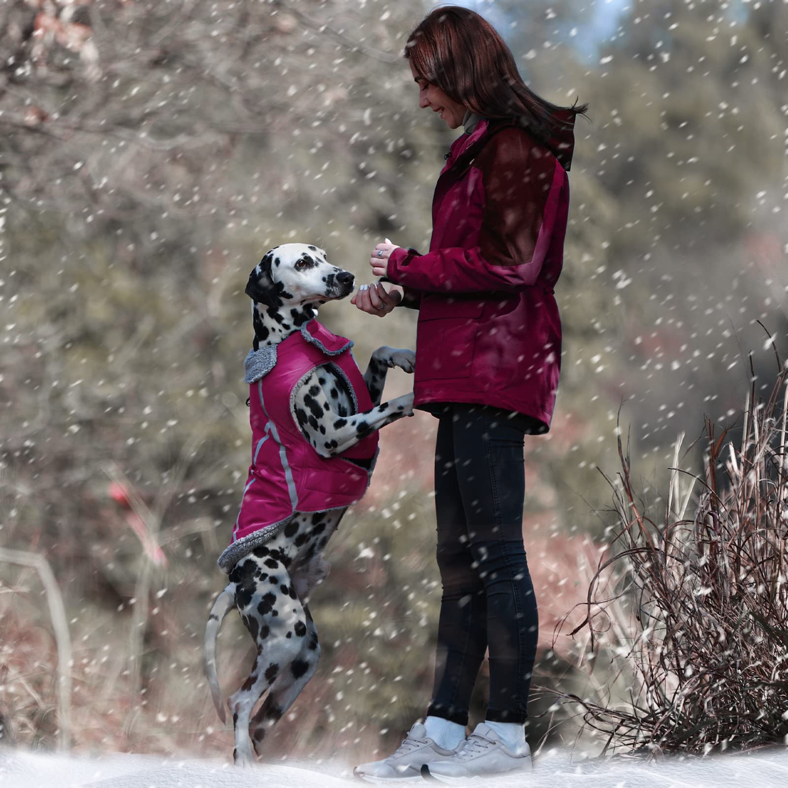 VIVAGLORY Frostfit adjustable belly ensures a snug fit across breeds.