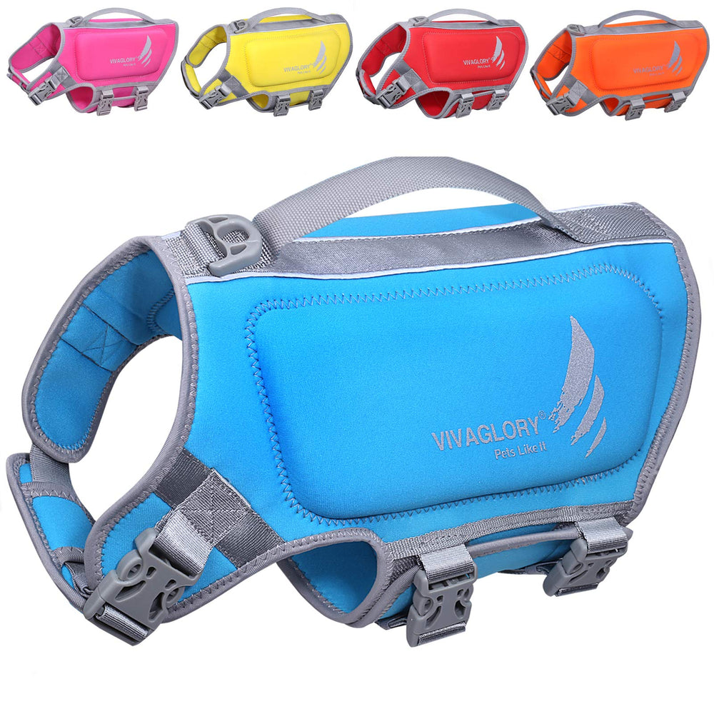 VIVAGLORY high buoyancy dog life vest blue over pool for safety