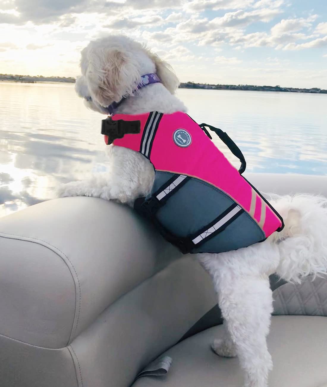 VIVAGLORY Life Vest measurement guide image emphasizes proper fit for your puppy
