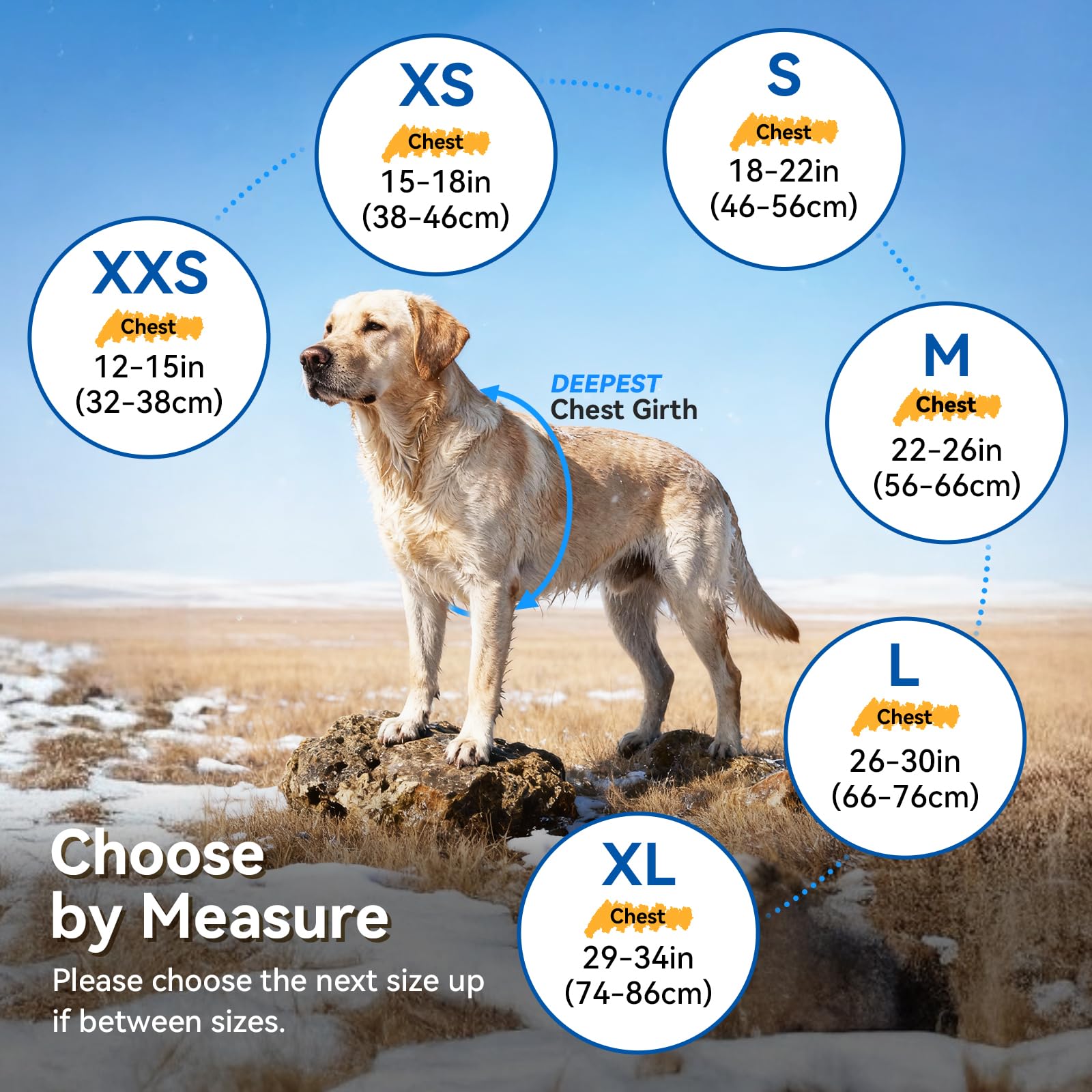 VIVAGLORY Snowrap dog coat compact design for travel.