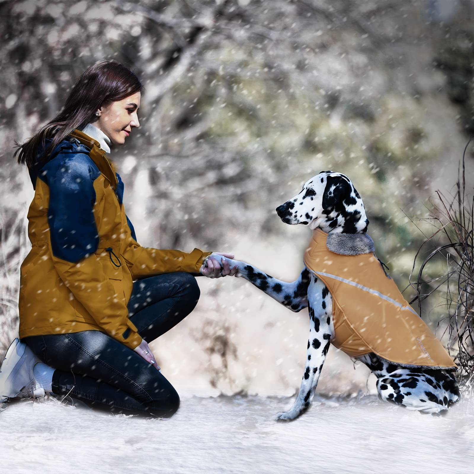 VIVAGLORY Snowrap XXS khaki on model - ideal small-dog fit