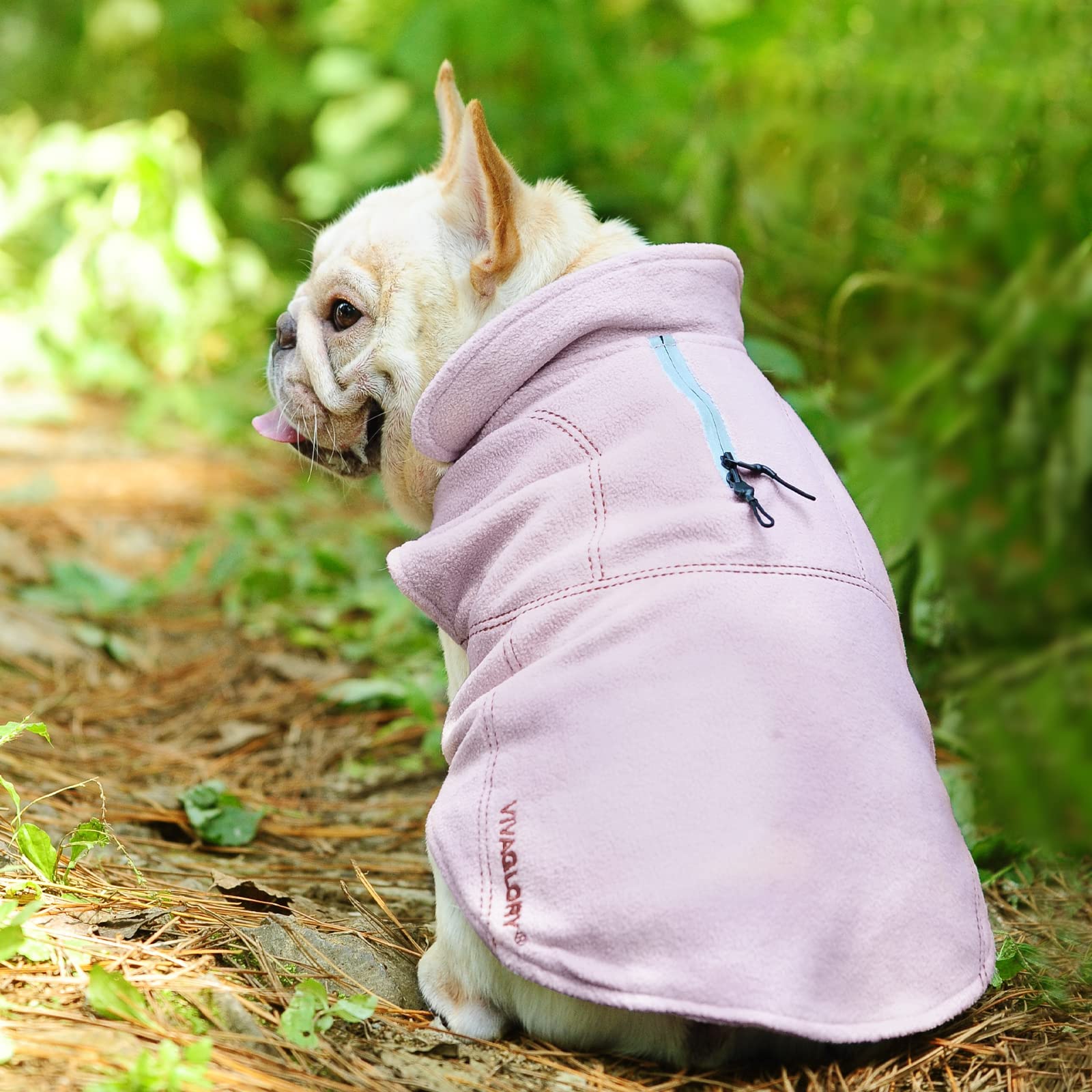 VIVAGLORY Softpad worn on-dog showcases comfortable, flexible movement